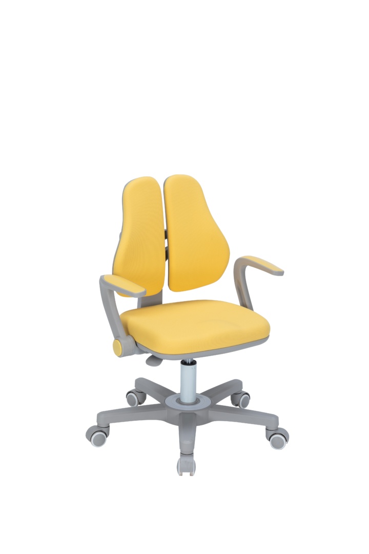 SY3121-2-SHANYE chair